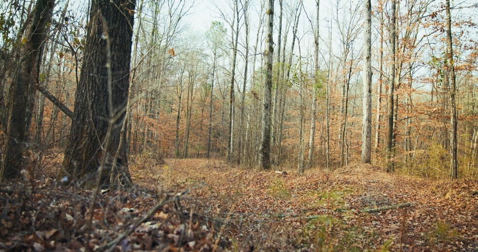 More Photos Of Jug Factory Road, Wetumpka Land For Sale