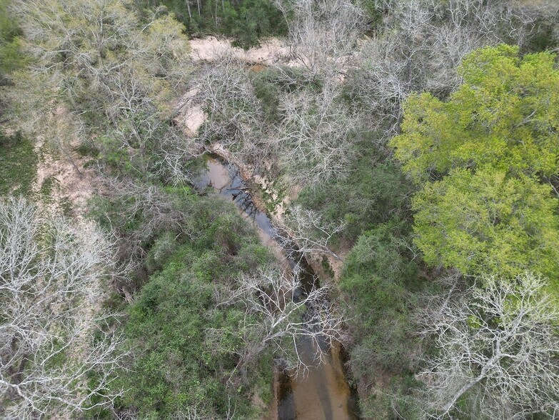 More Photos Of Jozwiak Ln, Hempstead Land For Sale