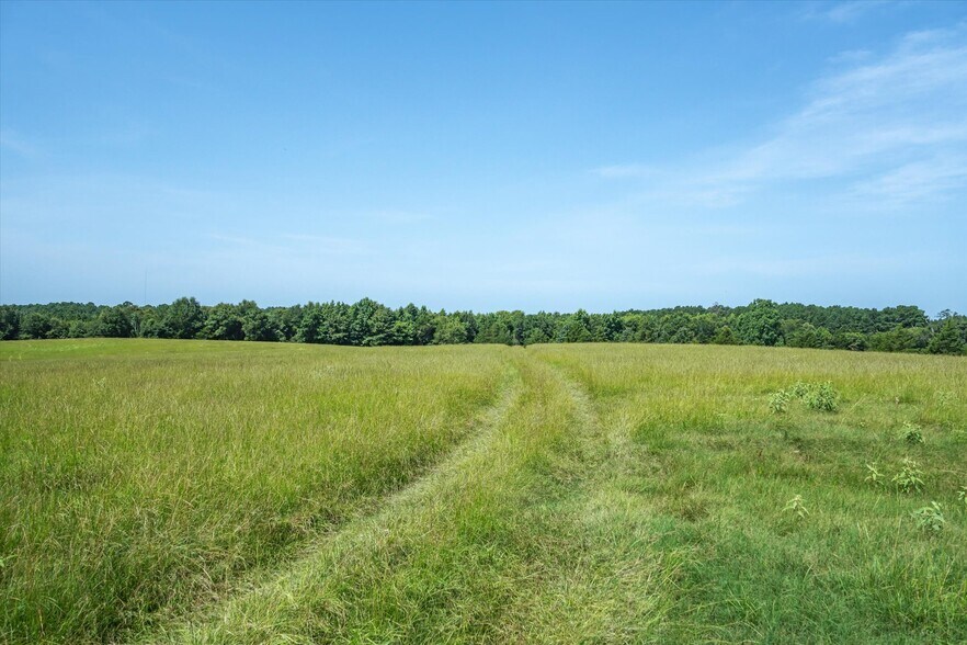 More Photos Of 00 County Road 4501, Jacksonville Land For Sale