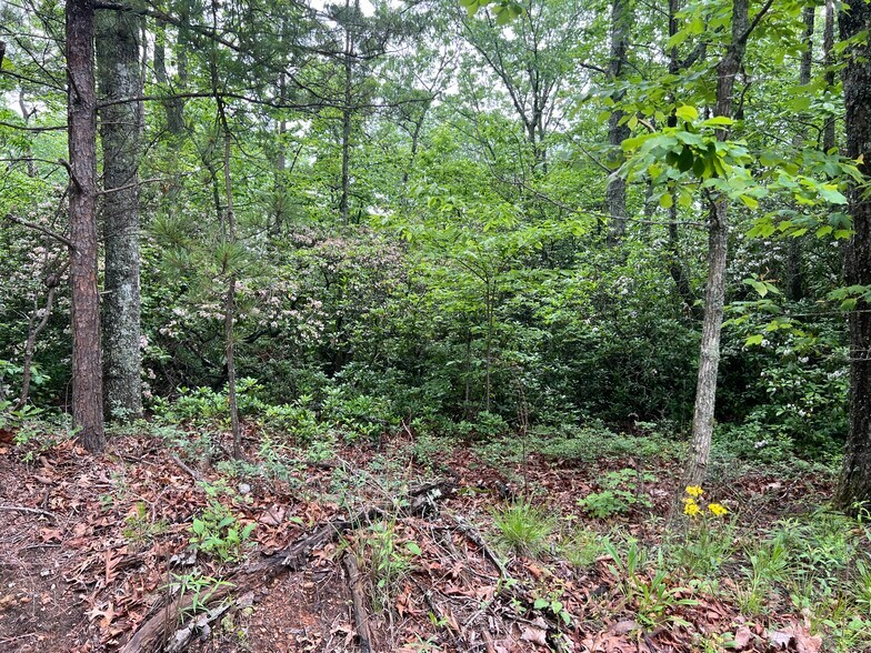 More Photos Of 395 Able rd, Waleska Land For Sale