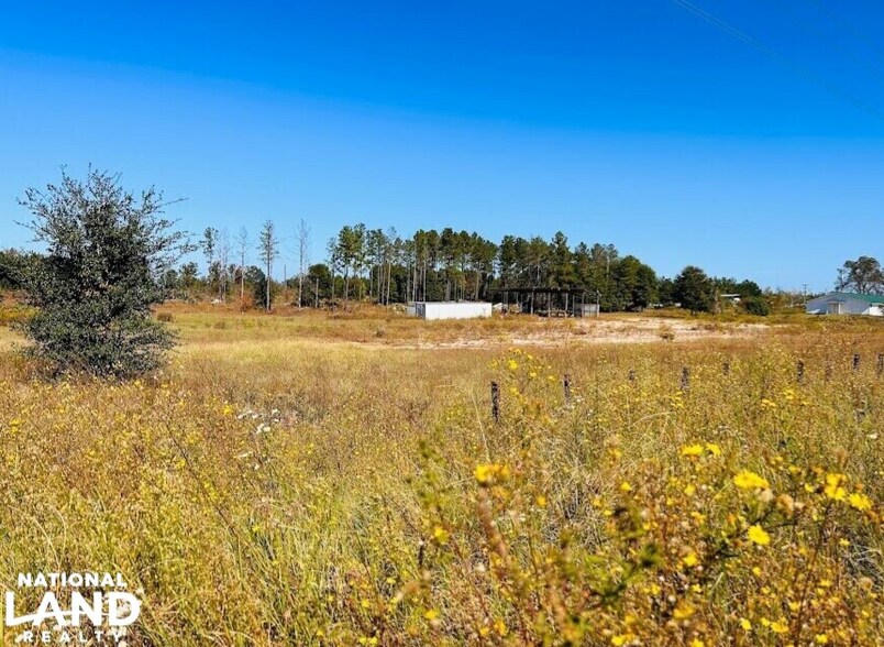 More Photos Of 10540 GA Highway 273, Jakin Land For Sale