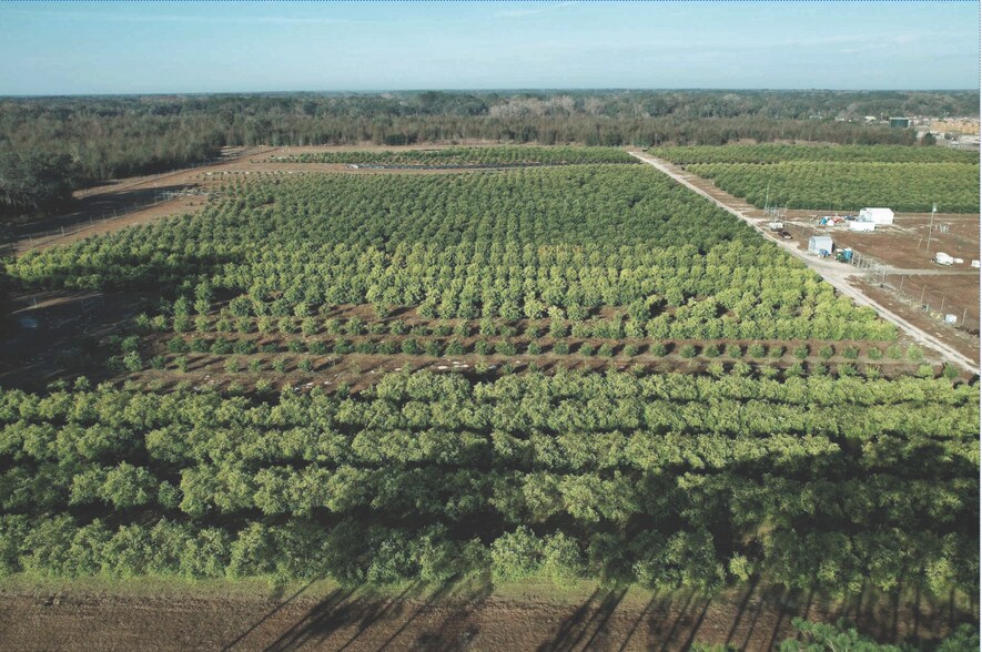 More Photos Of 101 Thomas Demps Ln, Perry Land For Sale