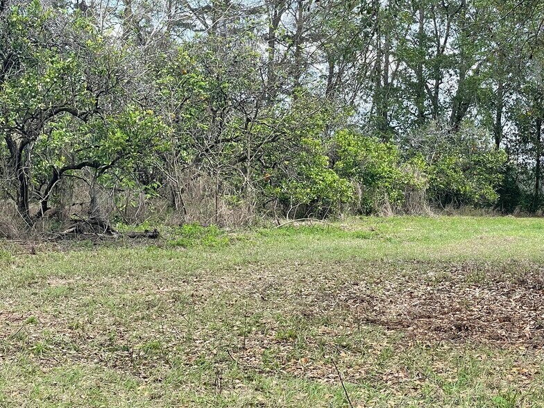 More Photos Of 16982 SE Highway 42, Weirsdale Land For Sale