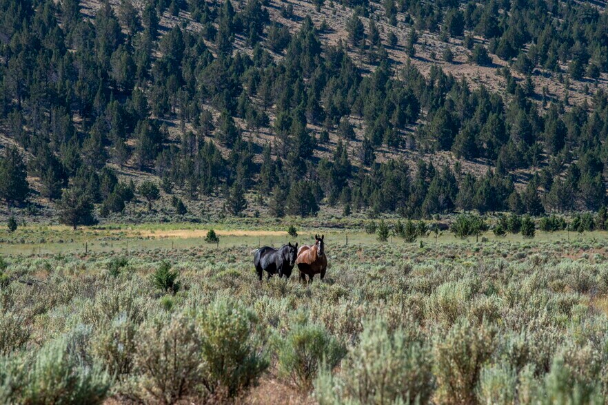 More Photos Of 32611 Tackman Rd, Prineville Land For Sale