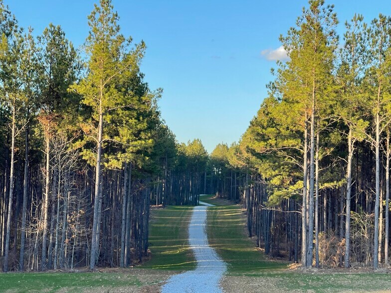 Primary Photo Of 92 Lillian Strong rd, Carlton Land For Sale