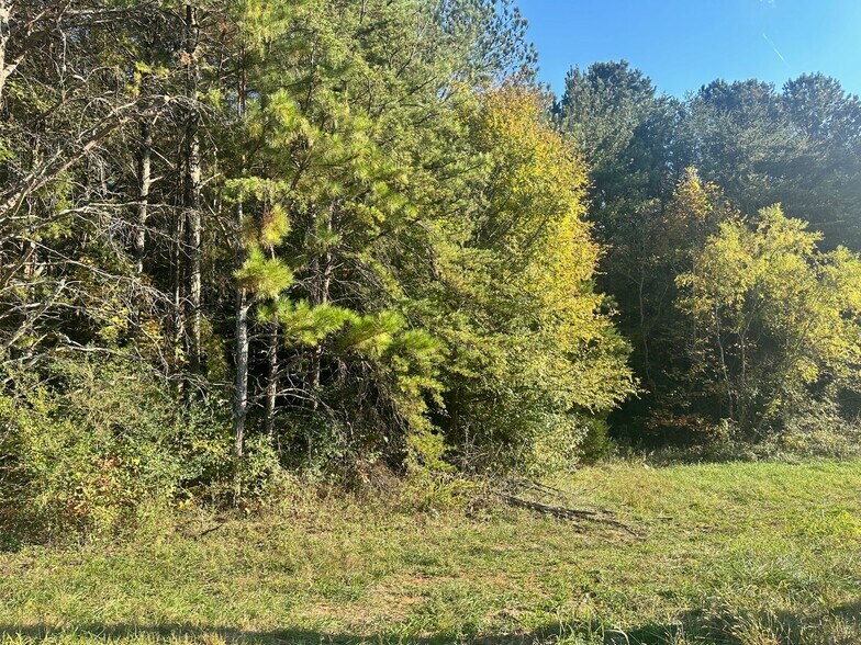 More Photos Of 00 NE Hwy 411, Rydal Land For Sale