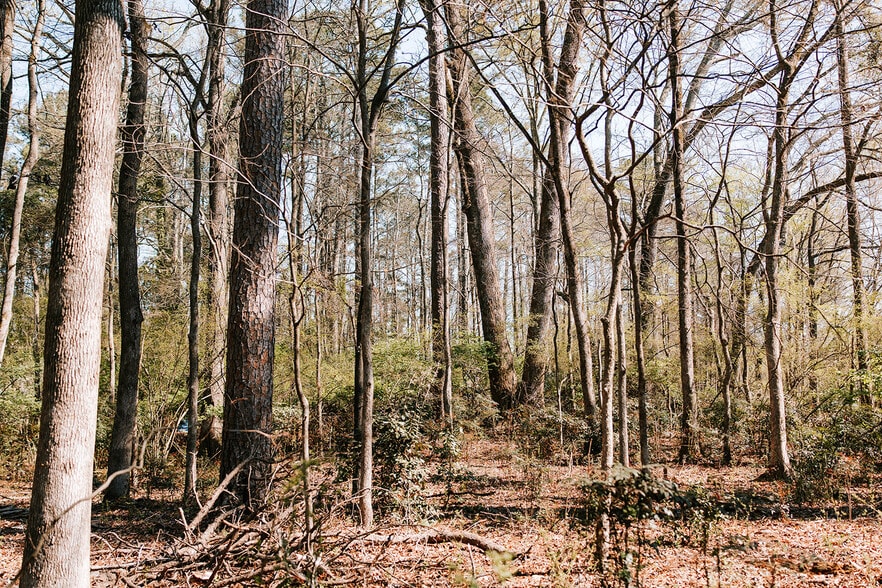 More Photos Of 1283 Cedar Shoals Dr, Athens Land For Sale