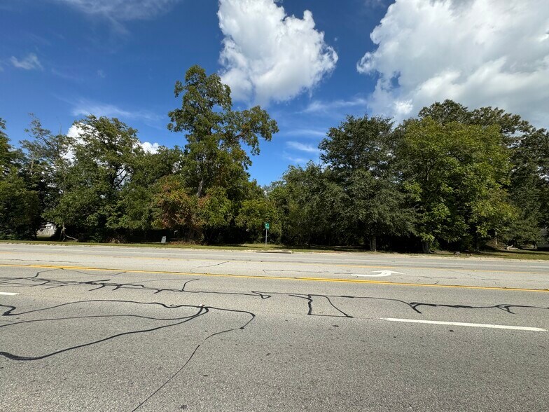 Primary Photo Of 00 Golden Isles Parkway Pky, Lumber City Land For Sale