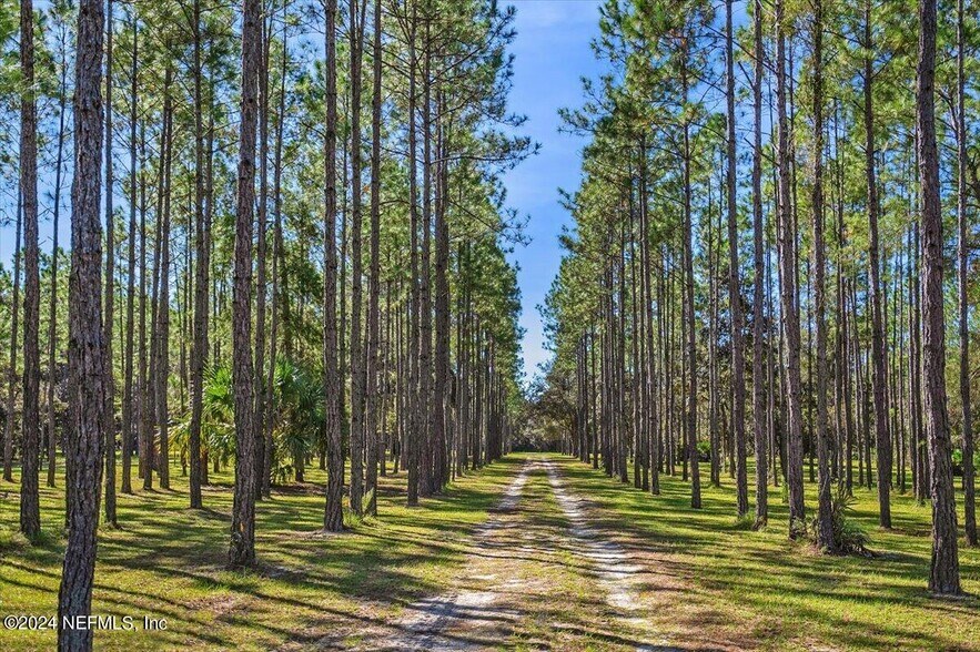 More Photos Of 258 Bostwick Cemetery Rd, Palatka Lodge Meeting Hall For Sale