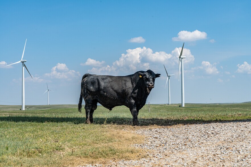 More Photos Of 223 KS-14, Lincoln Land For Sale