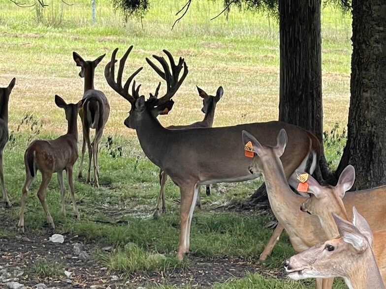 More Photos Of 6040 AL-28, Pine Apple Specialty For Sale