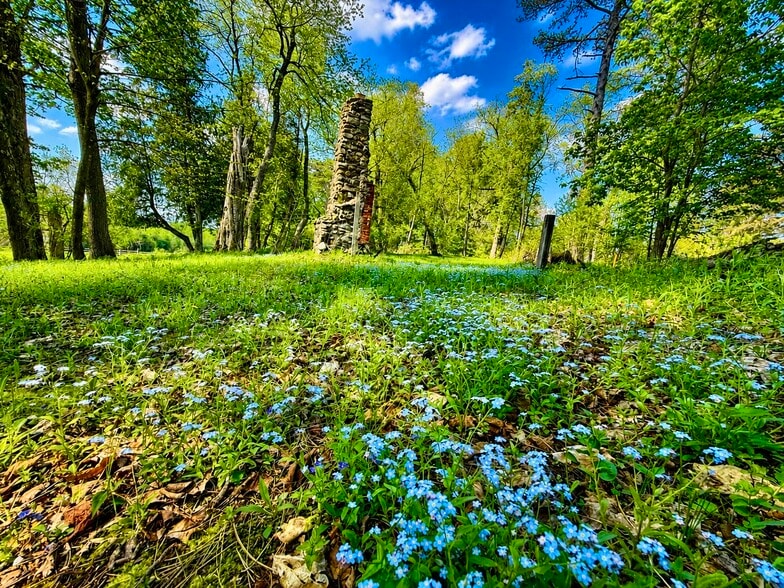 More Photos Of 4023 Rippleton Rd, Cazenovia Hospitality For Sale