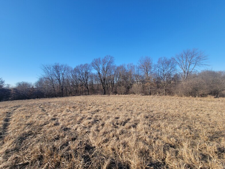 More Photos Of 171 Windy Hill Rd. (20+/- Acres), Elsberry Land For Sale