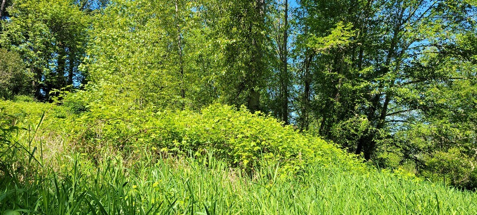 More Photos Of 825 99th Ave SE, Lake Stevens Land For Sale
