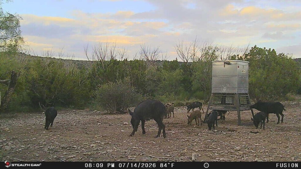 More Photos Of 0000 Clegg Rd, Ozona Land For Sale