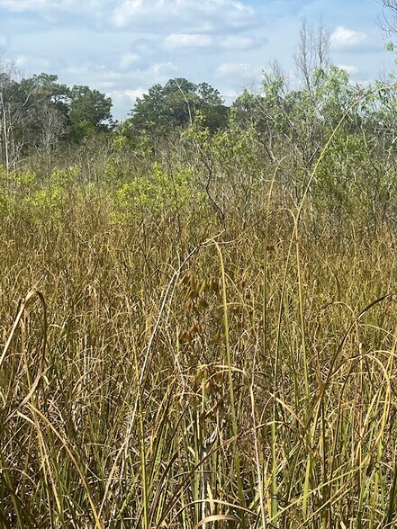 More Photos Of 0 Camellia, Crystal River Land For Sale