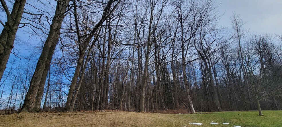 More Photos Of 6420 Lakeshore Rd, Cicero Land For Sale