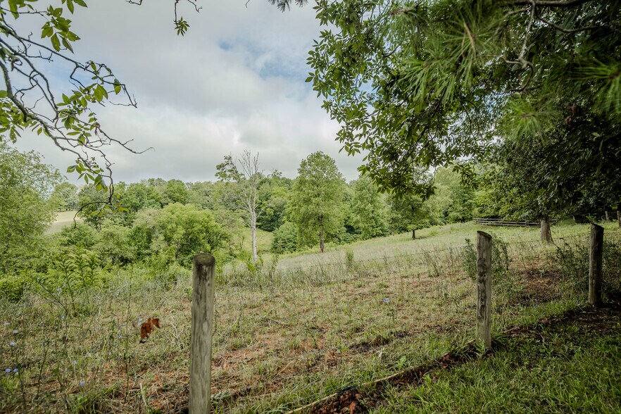 More Photos Of 305 Sluder Branch Rd, Leicester Land For Sale