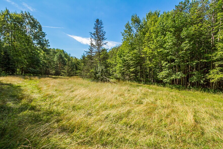 More Photos Of 9545 Redman Rd, Fillmore Land For Sale