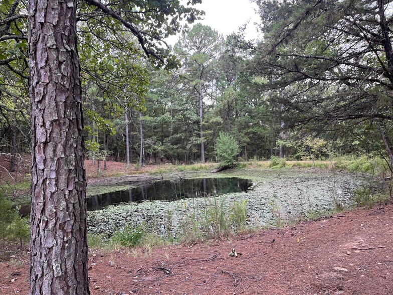 More Photos Of 27546 Reservation Rd, Daisy Land For Sale
