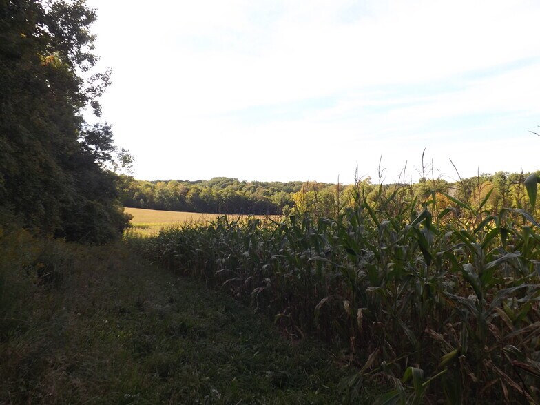 More Photos Of 0 Main St, Hunt Land For Sale