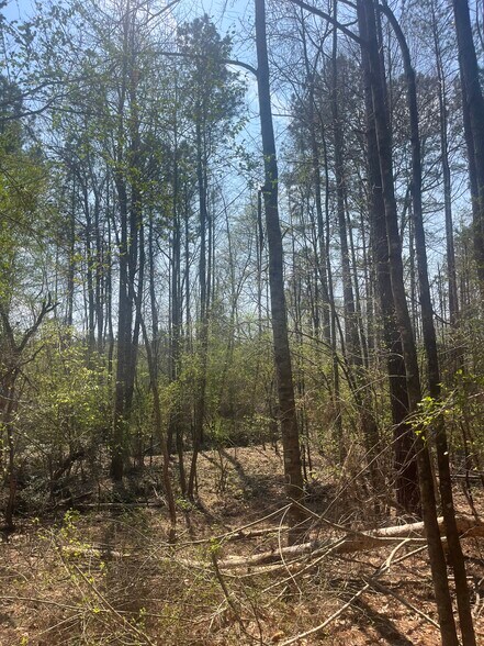 More Photos Of Healing Acres Ln, Carthage Land For Sale