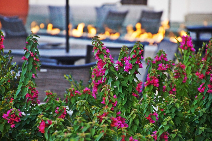 More Photos Of 11986 Bernardo Plaza Dr, San Diego Unknown For Lease