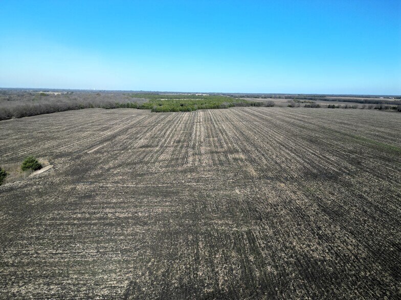 More Photos Of 99 ac County Road 4914, Ladonia Land For Sale