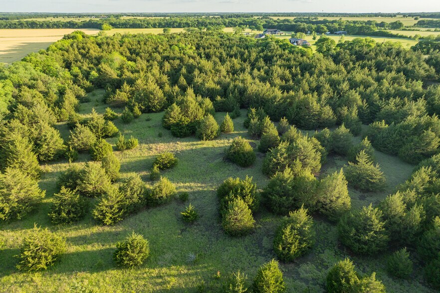 More Photos Of 3150 FM 272, Celeste Land For Sale