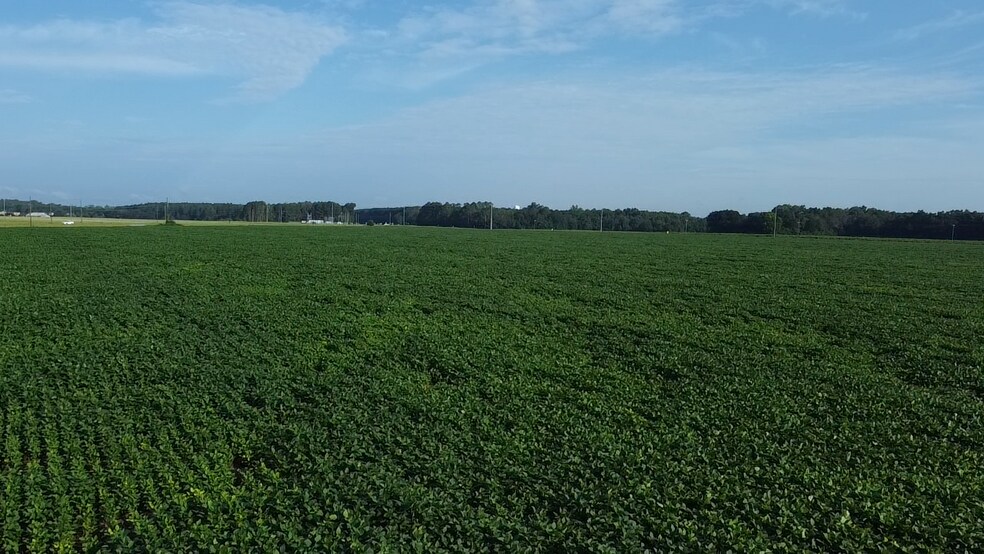 More Photos Of Hwy 9 @ Beauty Spot Rd, Bennettsville Land For Sale
