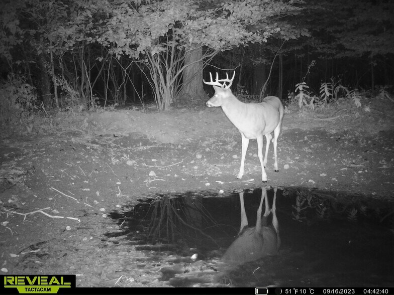 More Photos Of Fisher Road, Iola Land For Sale