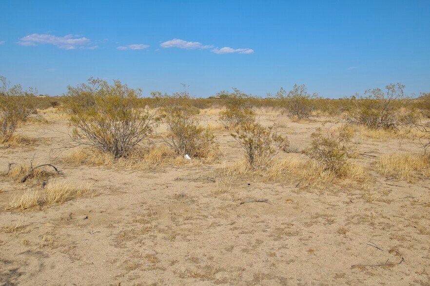 More Photos Of 1153 Belfield Blvd, Landers Land For Sale