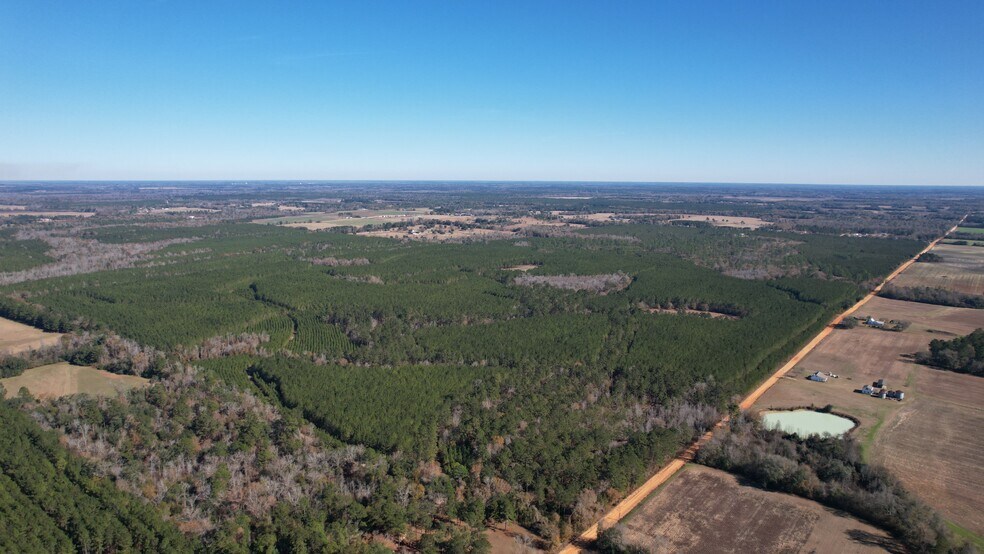 More Photos Of 17675 Cedar Springs Rd, Blakely Land For Sale