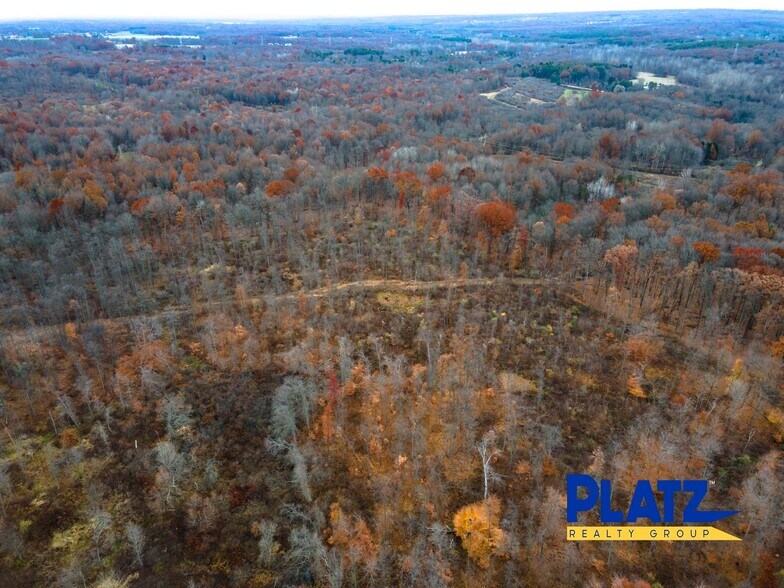 More Photos Of 10666 Akron Canfield, Canfield Land For Sale