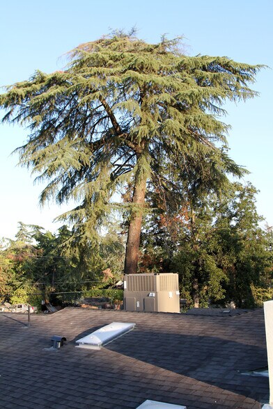 More Photos Of 1636 S Clovis Ave, Fresno Specialty For Sale