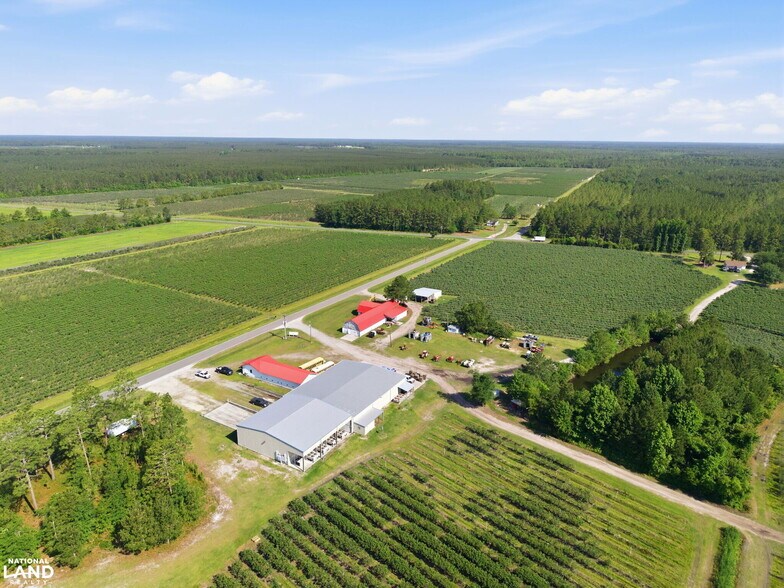 More Photos Of 5478 Halfway Branch School rd, Ivanhoe Land For Sale