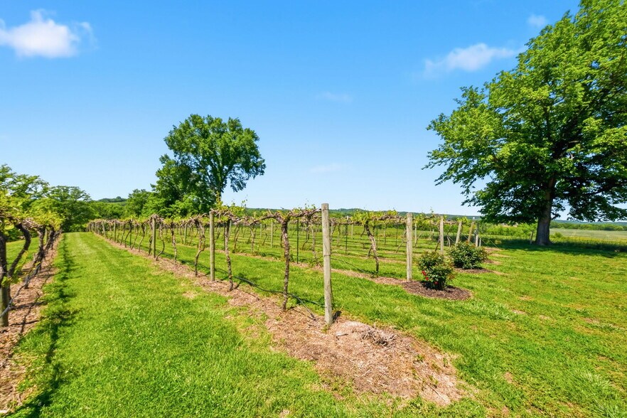 More Photos Of 15088 Boone Monument Rd, Marthasville Lodge Meeting Hall For Sale