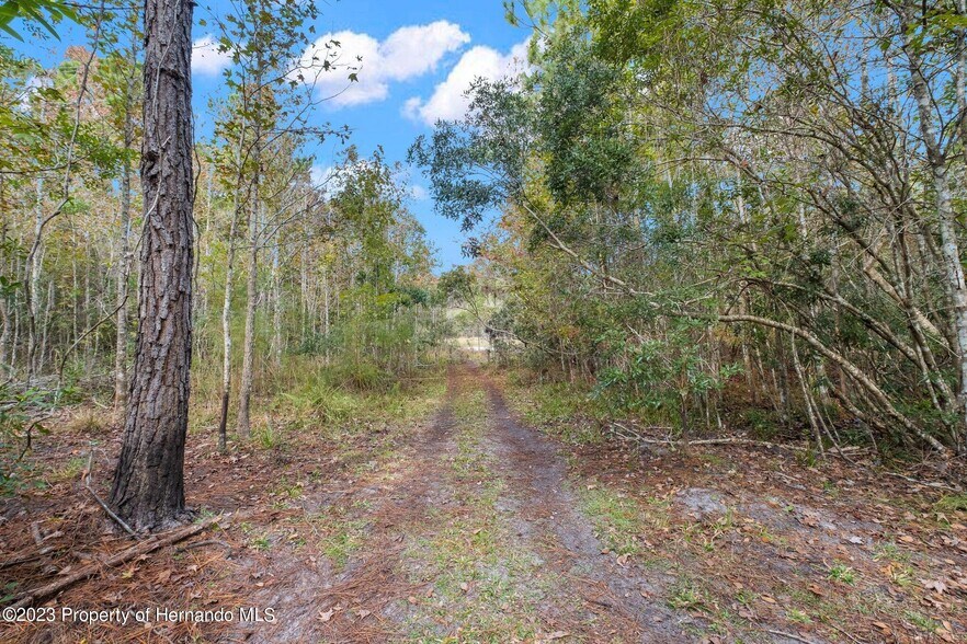 More Photos Of 0 Algood Rd, Spring Hill Land For Sale