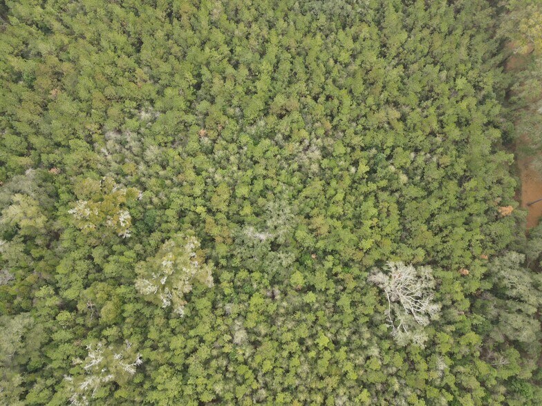 More Photos Of 0 Baldwin St, Satsuma Land For Sale