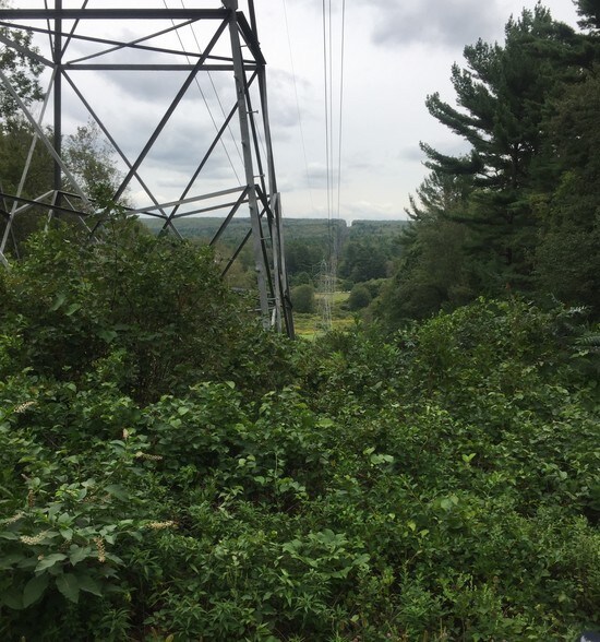Primary Photo Of 234 Wickaboag Valley Rd, West Brookfield Land For Sale