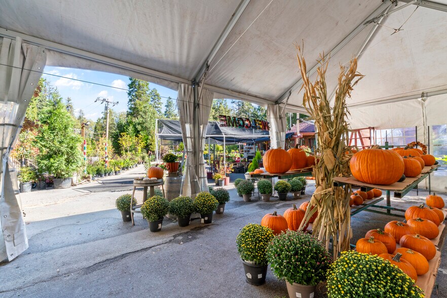 More Photos Of 303 CA-173 Hwy, Lake Arrowhead Garden Center For Sale