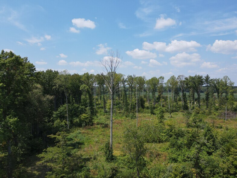 More Photos Of Crane Schoolhouse Road, Bethel Land For Sale