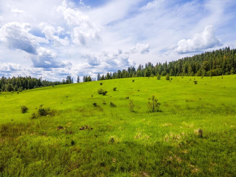 More Photos Of 15809 N Scribner Branch Rd, Spokane Land For Sale