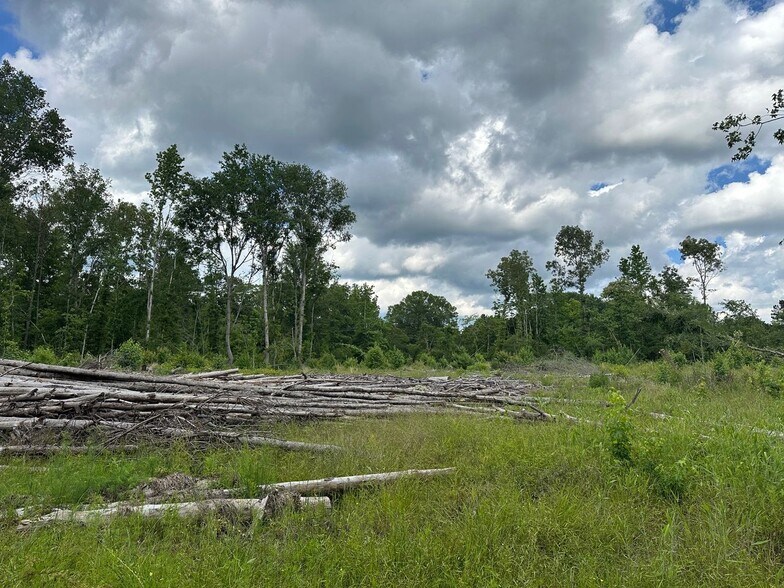 More Photos Of 0 Johns Gin Rd, Keithville Land For Sale