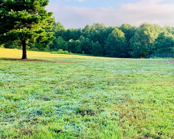 Primary Photo Of 2088 FM1251, Beckville Land For Sale