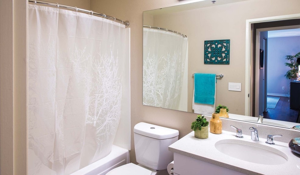 More Photos Of 2900 1st Ave, Seattle Apartments For Lease