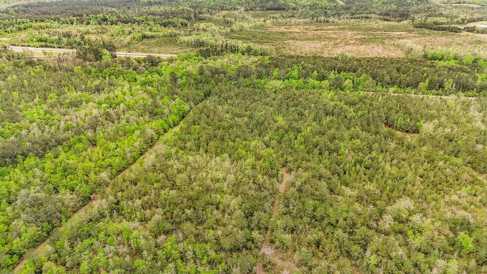 More Photos Of 0 US Highway 43 N., Mount Vernon Land For Sale