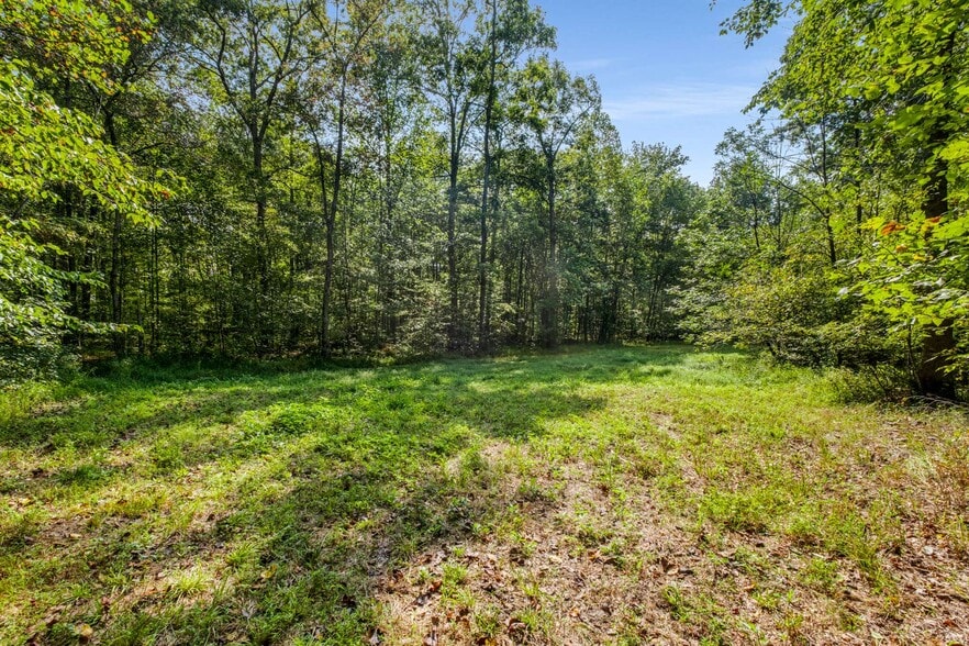 More Photos Of 456 Lakewood Park Rd, Beechgrove General Retail For Sale