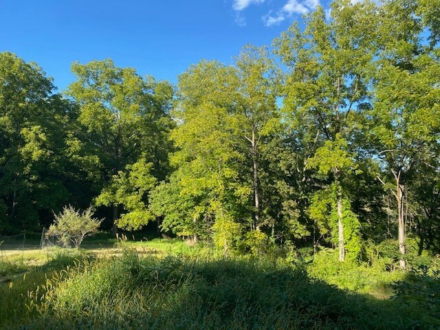 More Photos Of 152 Lily Lake Rd, Highland Land For Sale