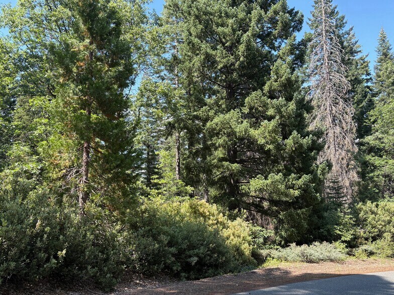 More Photos Of Castle Lake Rd, Mount Shasta Land For Sale